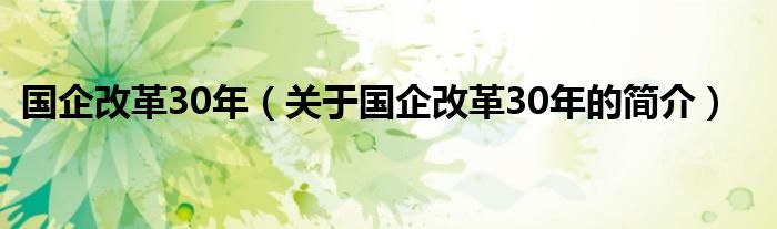 國(guó)企改革30年（關(guān)于國(guó)企改革30年的簡(jiǎn)介）