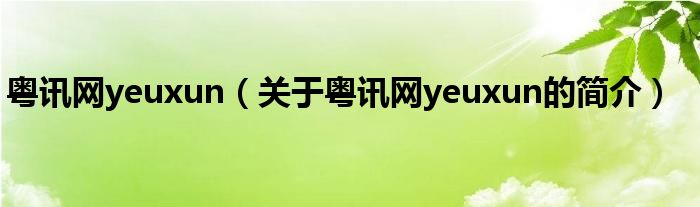 粵訊網(wǎng)yeuxun（關(guān)于粵訊網(wǎng)yeuxun的簡介）