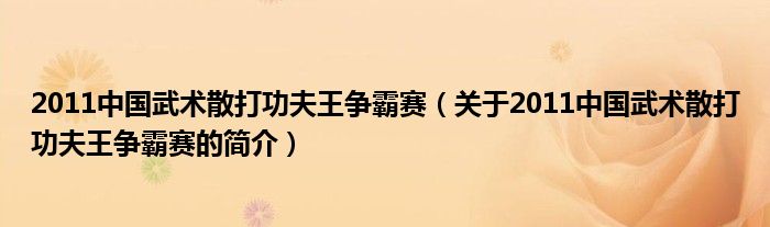 2011中國武術(shù)散打功夫王爭霸賽（關(guān)于2011中國武術(shù)散打功夫王爭霸賽的簡介）