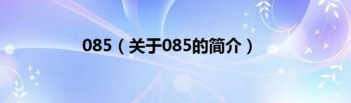 085（關(guān)于085的簡(jiǎn)介）