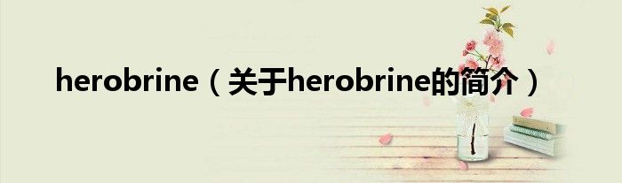 herobrine（關(guān)于herobrine的簡介）