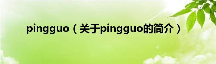 pingguo（關(guān)于pingguo的簡介）