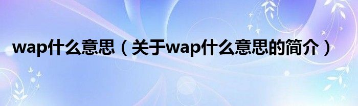 wap什么意思（關(guān)于wap什么意思的簡介）