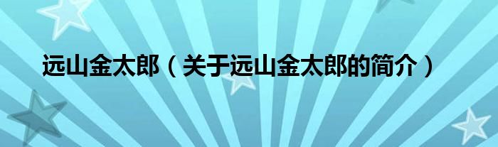 遠山金太郎（關于遠山金太郎的簡介）