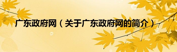 廣東政府網(wǎng)（關(guān)于廣東政府網(wǎng)的簡介）