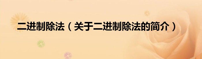 二進(jìn)制除法（關(guān)于二進(jìn)制除法的簡(jiǎn)介）