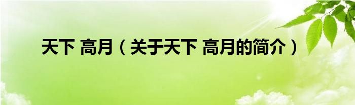 天下 高月（關(guān)于天下 高月的簡(jiǎn)介）