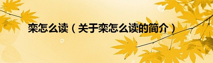 欒怎么讀（關(guān)于欒怎么讀的簡(jiǎn)介）