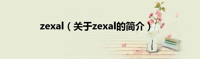 zexal（關(guān)于zexal的簡介）