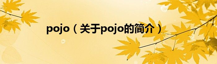 pojo（關(guān)于pojo的簡介）