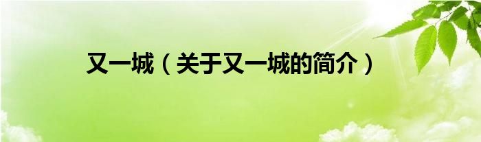 又一城（關(guān)于又一城的簡(jiǎn)介）