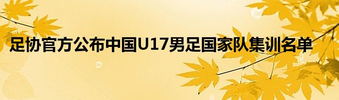 足協官方公布中國U17男足國家隊集訓名單