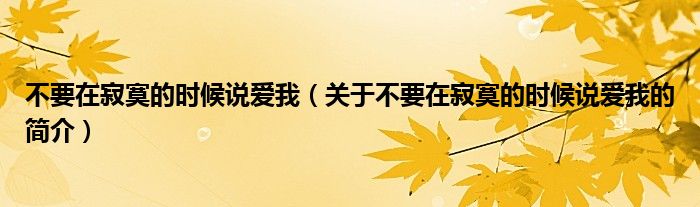 不要在寂寞的時(shí)候說愛我（關(guān)于不要在寂寞的時(shí)候說愛我的簡介）