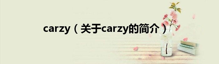 carzy（關(guān)于carzy的簡介）