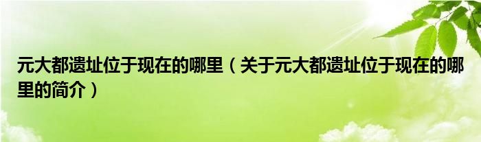 元大都遺址位于現(xiàn)在的哪里（關(guān)于元大都遺址位于現(xiàn)在的哪里的簡(jiǎn)介）