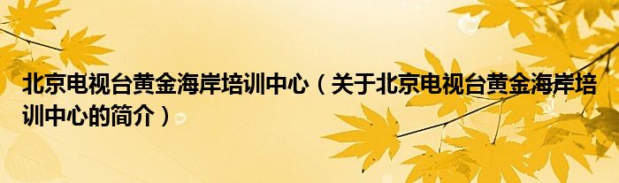 北京電視臺黃金海岸培訓(xùn)中心（關(guān)于北京電視臺黃金海岸培訓(xùn)中心的簡介）