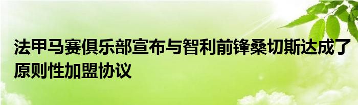 法甲馬賽俱樂部宣布與智利前鋒桑切斯達成了原則性加盟協(xié)議