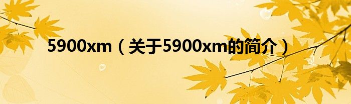 5900xm（關(guān)于5900xm的簡介）