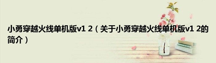 小勇穿越火線單機版v1 2（關(guān)于小勇穿越火線單機版v1 2的簡介）