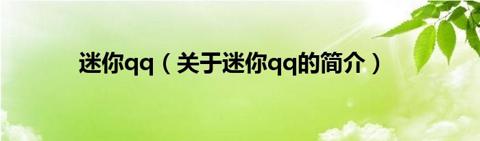 迷你qq（關(guān)于迷你qq的簡介）