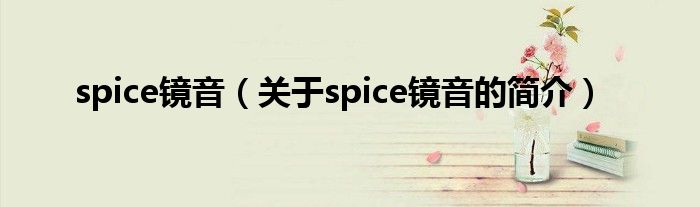 spice鏡音（關(guān)于spice鏡音的簡介）