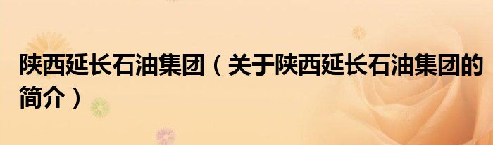 陜西延長石油集團（關(guān)于陜西延長石油集團的簡介）