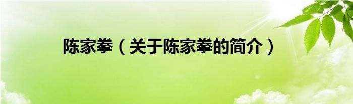 陳家拳（關(guān)于陳家拳的簡(jiǎn)介）