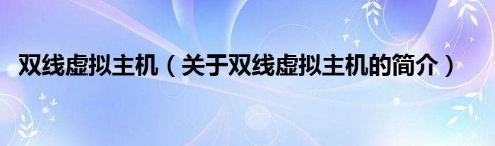 雙線虛擬主機(jī)（關(guān)于雙線虛擬主機(jī)的簡(jiǎn)介）