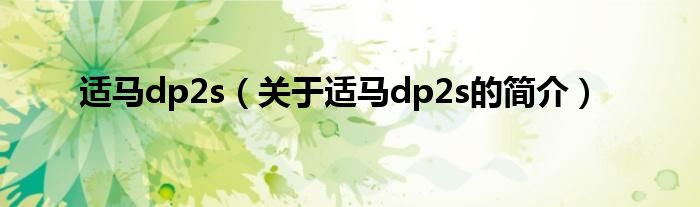 適馬dp2s（關(guān)于適馬dp2s的簡介）