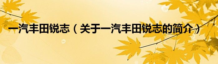 一汽豐田銳志（關(guān)于一汽豐田銳志的簡(jiǎn)介）