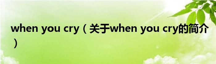 when you cry（關(guān)于when you cry的簡(jiǎn)介）