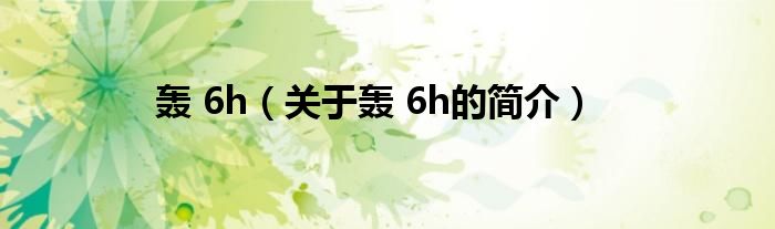 轟 6h（關于轟 6h的簡介）