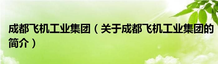 成都飛機工業(yè)集團（關(guān)于成都飛機工業(yè)集團的簡介）