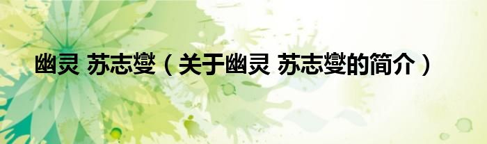 幽靈 蘇志燮（關(guān)于幽靈 蘇志燮的簡(jiǎn)介）