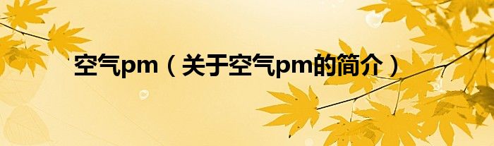 空氣pm（關于空氣pm的簡介）