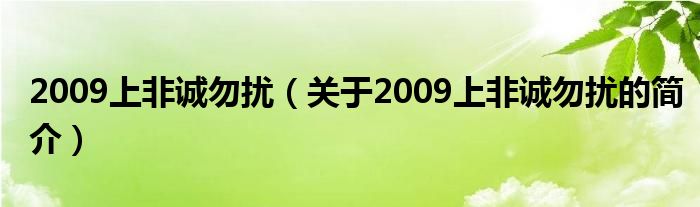 2009上非誠(chéng)勿擾（關(guān)于2009上非誠(chéng)勿擾的簡(jiǎn)介）