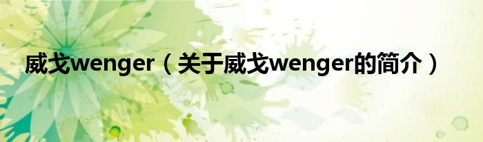 威戈wenger（關(guān)于威戈wenger的簡介）