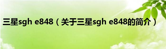 三星sgh e848（關(guān)于三星sgh e848的簡介）