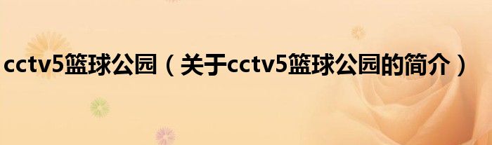 cctv5籃球公園（關于cctv5籃球公園的簡介）