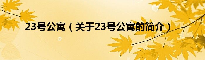 23號(hào)公寓（關(guān)于23號(hào)公寓的簡介）