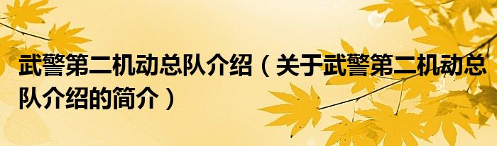 武警第二機(jī)動(dòng)總隊(duì)介紹（關(guān)于武警第二機(jī)動(dòng)總隊(duì)介紹的簡介）