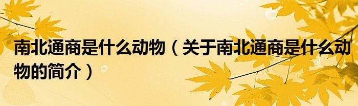 南北通商是什么動物（關于南北通商是什么動物的簡介）