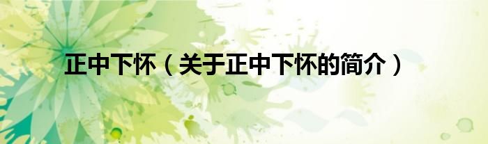 正中下懷（關(guān)于正中下懷的簡(jiǎn)介）