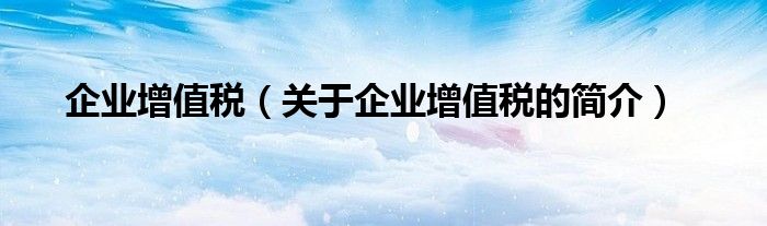 企業(yè)增值稅（關于企業(yè)增值稅的簡介）