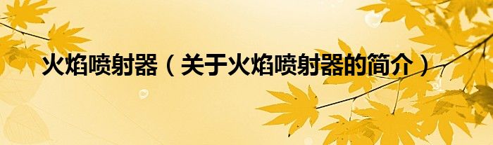 火焰噴射器（關(guān)于火焰噴射器的簡(jiǎn)介）