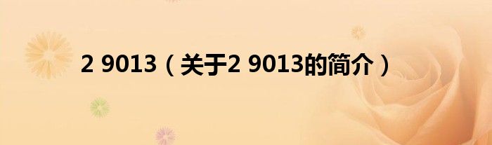 2 9013（關(guān)于2 9013的簡(jiǎn)介）