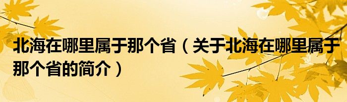 北海在哪里屬于那個(gè)?。P(guān)于北海在哪里屬于那個(gè)省的簡(jiǎn)介）