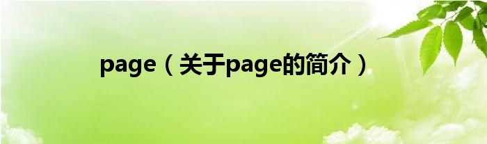 page（關(guān)于page的簡(jiǎn)介）