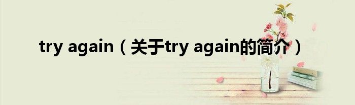 try again（關(guān)于try again的簡介）