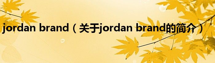 jordan brand（關于jordan brand的簡介）